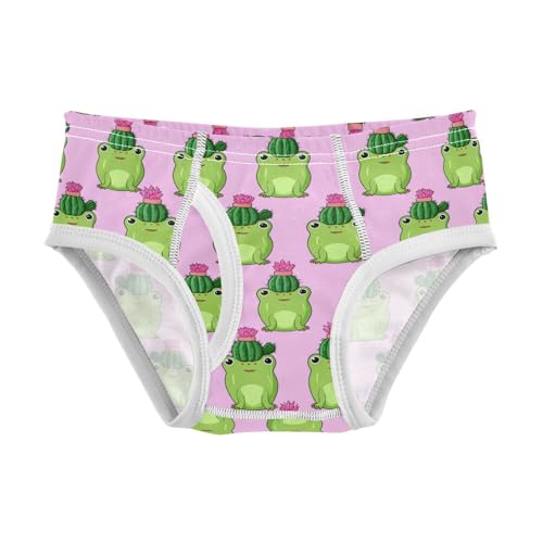 Cute Green Frogs Cactus Pot Toddler Boy's Underwear 2T 202c1804