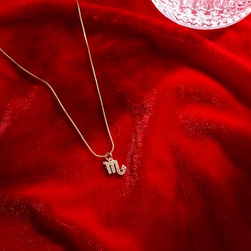 Image of SALTY Anti Tarnish Zodiac Sign Pendant Necklace for Women Men | Stylish Locket Neck Chain | Fashion Jewellery Accessories for Girls Boys | Minimal Jewelry | Ideal for Gifting | Gift for Diwali, Christmas, Marriage, Birthday