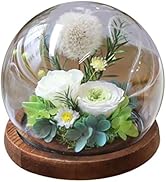 Amazon｜プリザーブドフラワー ガラスドーム ひまわり かわいい 向日葵