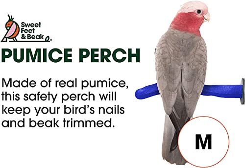 Sweet Feet And Beak Safety Pumice Perch Bird Toy - Trims Nails And Beak Like Pet Grooming Clippers - Promotes Healthy Feet - Safe, Non-Toxic Bird Supplies For Bird Cages - Medium 10" #TOP3