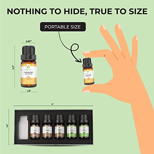 Vinevida Essential Oils Set For Aromatherapy, Massage, And Skin Care (10Ml Each), Top 6 Picks For Spiritual Peace. #TOP2