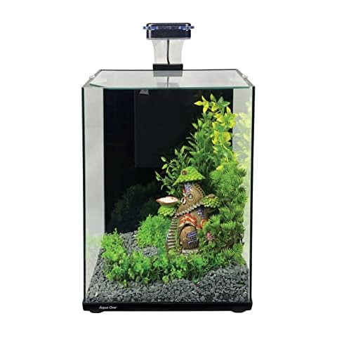 Aqua One Focus 23L Glass Aquarium with LED Cover