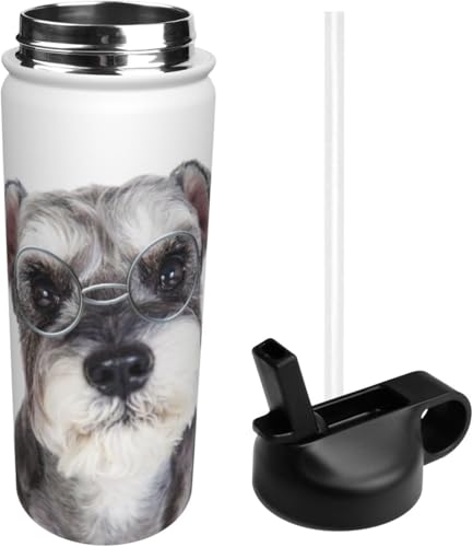 X|[c 킢 ViEU[  XeX{g X|[c{g @r ^fM ۉ|bg e XeX  EH[^[{g  ϗϔM j̎q ̎q AEghA ֗ sp 532ml 蕨