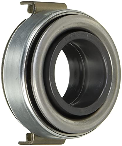 41YukMLbr5L.jpg
