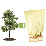 HJCMikee 2 Stück Pflanzenschutz Winter, Winterschutz für Kübelpflanzen Frostschutz Kälteschutz Pflanzenschutzsack Pflanzen,Verdicken schützt vor Frost, Wind und Niederschlag 80x120cm mit Zugband