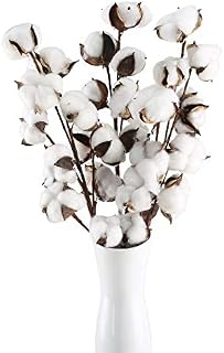 HUASIN 3PCS Natural Cotton Flowers 10 Heads Natural Dried Cotton Stems Artificial Fake Cotton Flowers Branches Balls Decor for Vase Display Home Wedding Floral Arrangement