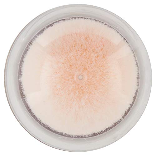 Maybelline New York Korrekturflüssigkeit, mit Goji-Beeren und Haloxyl, deckt Augenringe und kleine Falten ab, 03 Fee, 6,8 ml