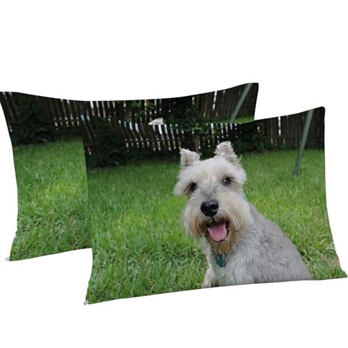 Housse de couette 200x200 animal de compagnie parure de lit 3 pièces microfibre - 8