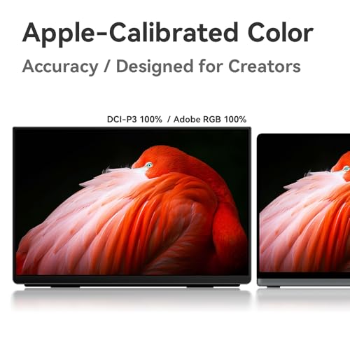 Image of EHOMEWEI Q5 Portable Monitor 2.5K 120Hz 16 inch QLED,Hummingbird Anti-Glare Screen 400 Nits HDR 100% DCI-P3 1500:1 sRGB, FreeSync, 16:10 Widescreen Eye Care, Laptop /PC /Phone /Game Console