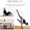 SPINEFITTER by SISSEL Linum | Flaxseed Heat/Cold Pillow | Targeted Treatment for Spinal Muscles | Optimal Relaxation & Well-Being | Versatile Use | Ideal Shape & Design