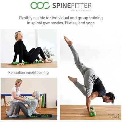 SPINEFITTER by SISSEL Linum | Flaxseed Heat/Cold Pillow | Targeted Treatment for Spinal Muscles | Optimal Relaxation & Well-Being | Versatile Use | Ideal Shape & Design