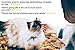 Easypill Gato Easypill Cat - Píldoras Envueltas Individualmente Para Gatos De 4...