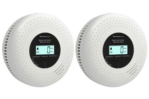 GiiHoo Rauch- und Kohlenmonoxid-Melder mit LCD-Display &...