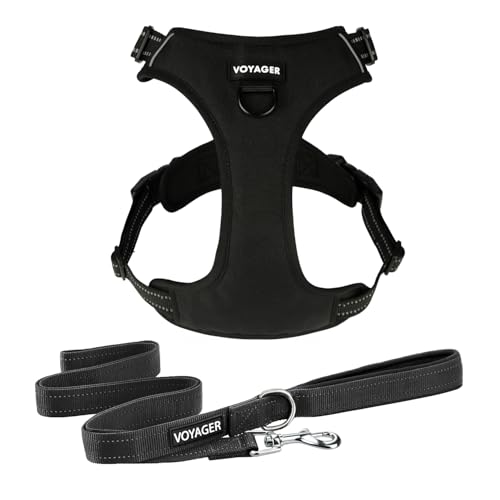 Voyager Dog Harness Dual Leash Attachment No-Pull Control Adjustable Soft but Strong Pet Harness for Medium and Large Dogs with 3M Reflective Technology - Harness Leash Set (Black), XL