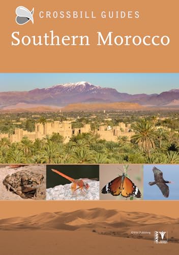 Southern Morocco: 33