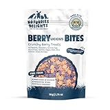 No Furries Delights Treats, 100% All Natural Mini Bites For Rabbit Hamster Guinea Pig Chinchilla Pet Rat Mice Gerbil Bird, Healthy Enrichment Bonding Rewarding Training (Berrylicious Variety Pack 50g)