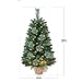 3FT Pre-lit Artificial Small Mini Christmas Tree with Warm White Multi-Color LED Lights, Remote Control and Timer, Perfect for Xmas Tabletop Decorations, Home, Kitchen, Dining Table top Green