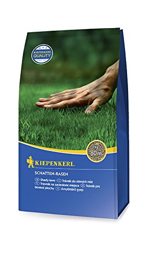 Preisvergleich Produktbild Rasensamen - Schatten-Rasen 2 kg von Kiepenkerl