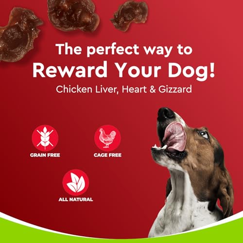 Image of Drools Puppy & Adult Dog Treats Dehydrated Chews Giblets 70g | Real Chicken Flavour | Vital Nutrients | Digestive Health | Protein-Packed | Tasty & Nutritious
