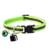 Mini Traceur GPS pour Chat – Suivi Mondial – sans Frais Supplémentaires – Compatible iOS & Android – pour Tout Collier – Localisation Intelligente