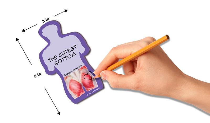 Vista 2 de Notas Adhesivas de Anatomía