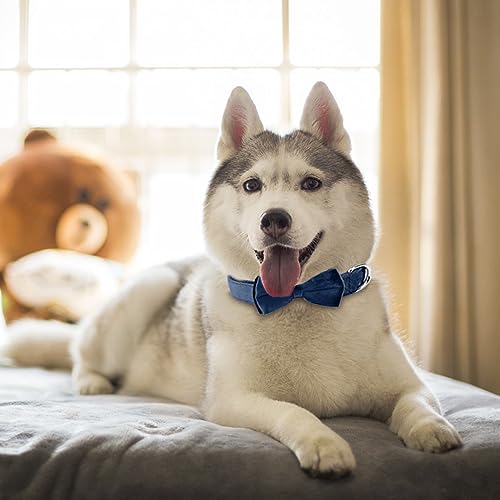 KTWSUEF Hundehalsband Samtiges, mit Abnehmbarer Hunde Fliege, Komfortable Verstellbares Samtige Halsband Hund, Geeignet für Hunde Kleine Mittel große Hunde, Für Hochzeiten, Geburtstage, Partys usw