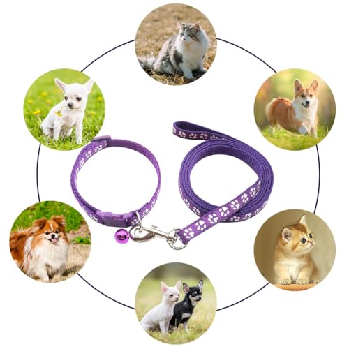 Hundehalsband und Leine Set für Kleine Hunde, Bequem Verstellbar, Welpenhalsband, Lila