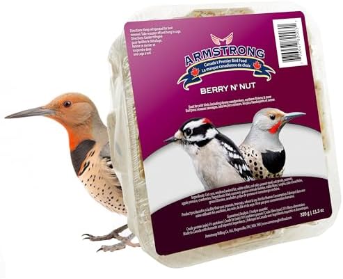 Armstrong Royal Jubilee Berry 'N Nut 3 Pack Suet Cakes 960g, One Size 1 Pack - 1