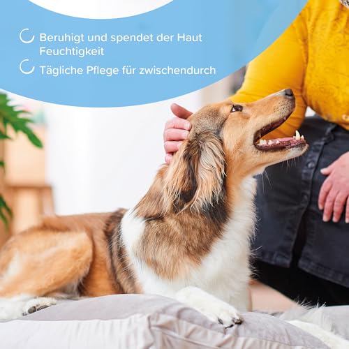 BEAPHAR - Hautpflege-Spray Für Hunde Und Katzen - Gegen Zecken Und Flöhe - Mit Aloe Vera Und Nachtkerzenöl - 250 ml