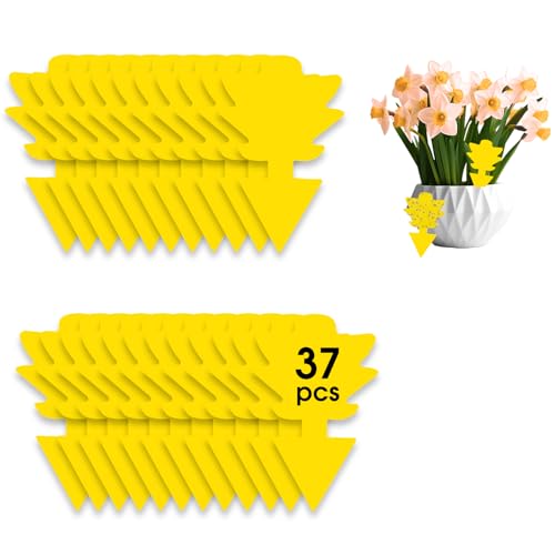 37 Pièges à Insectes, Anti Moucherons Interieur, lutte antiparasitaire sans insecticide, stickers jaunes, piège à mouches ultra-efficace, piège à mouches des fruits pour