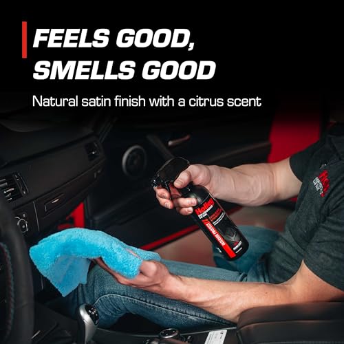 Image of Holley Interior Protect - 2-Stage Cleaner & Protectant - 16 oz. (2 Pack)