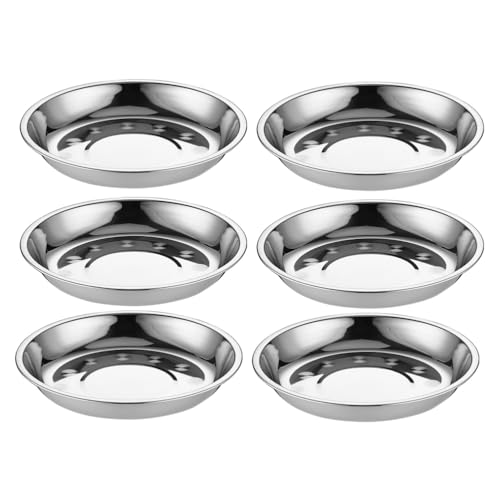 YARNOW Stainless Steel Round BBQ Tray 6Pcs 6-Inch Metal Plates for Camping Picnic Fruit Dessert Snack Serving