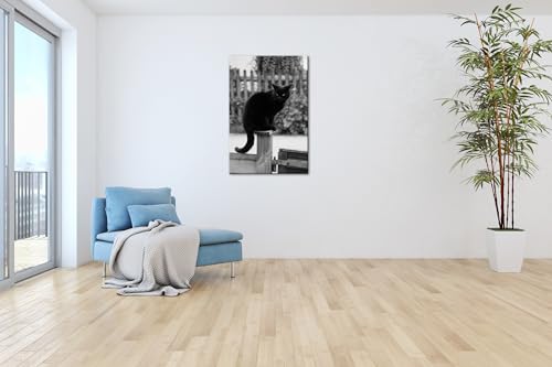 Toile chat noir perché grand format pour salon moderne effet noir et blanc