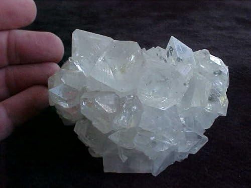 Gemqz D3501 Clear Apophyllite Cluster Large Cute