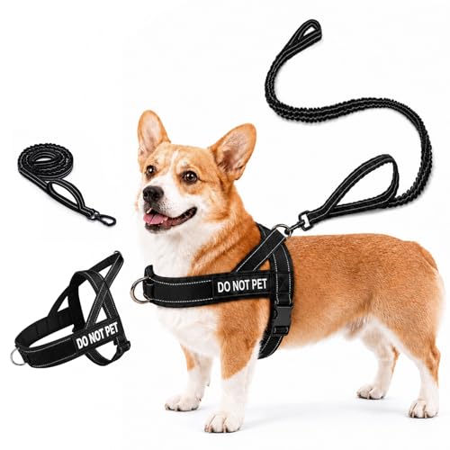 Quelcc Harnais Chien Anti Traction Réglable, Harnais pour Chien avec Poignée de Contrôle, Harnais de Sécurité Réfléchissant avec Anneau Devant et Dos,...