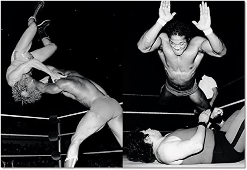 Miniatura 7 de Exquisite Mayhem. The Spectacular And Erotic World Of Wrestling: The Spectacular And Erotic World Of Wrestling By Theo Ehret Varia