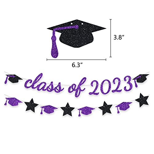 Graduation Party Supplies Glitter Class Of Banner Backdrop Hanging Paper Flowers Pom Poms Decoration Purple #TOP1