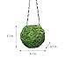 SuperMoss (29348) Kokedama Planter, 6