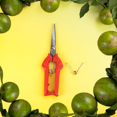 Tijeras de jardín con mango rojo y acero inoxidable miniatura 6