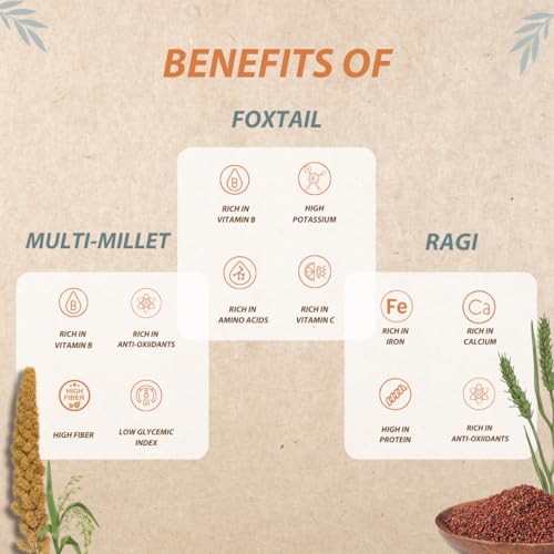 Image of Organic Wisdom Back to Roots Super Saver Pack of 6 | Millet Noodles 384g Each & Millet Pasta 180g Each | No Maida, MSG or Refined Oil | High in Protein, Vitamin B, Antioxidants & Fiber | Tastemaker Inside