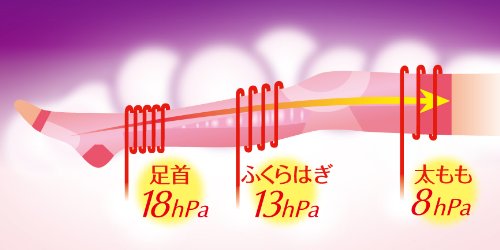 Amazon.co.jp: 夢みるここちのスリムウォーク スタンダードフィット