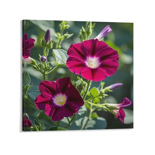 Toile murale abstraite géraniums rouges 40x40 cm avec cadre moderne