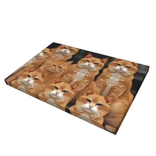 Toile de chat orange pour décoration de chambre à coucher cosy