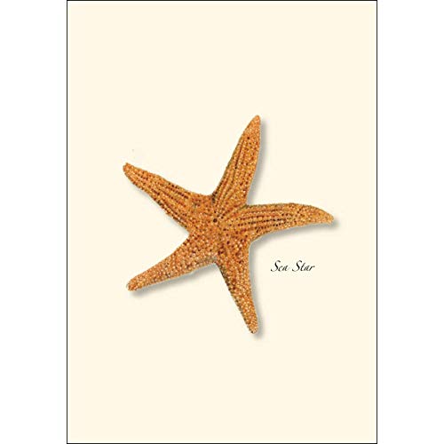 Image of Earth Sky + Water - Sea Star Notecard Set - 8 Blank Cards with Envelopes
