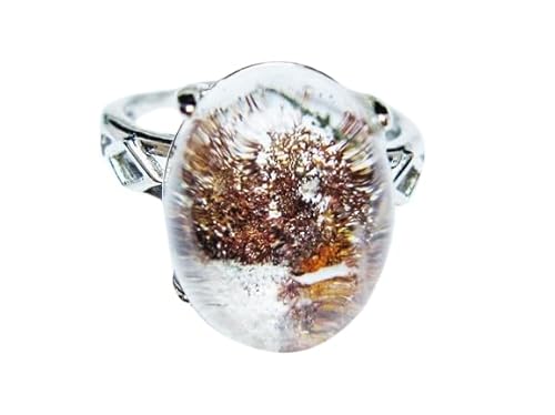 yVR΁zK[fNH[c w 14 115-6937