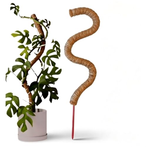Image of Garden Art 90cm Tall Bendable Moss Stick /Coir Pole for Plants Monstera, Coco Coir Moss Poles for Climbing Plants | Plant Support Extension to Grow Upwards GABCP-90 (90 cm Pack of 1)