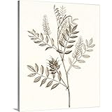 CANVAS ON DEMAND Neutral Botanical Study III Canvas Wall Art Print by Vision Studio, Traditional, Home Decor, Artwork, 16'x20'