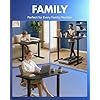 FLEXISPOT EN1 One-Piece Standing Desk, Electric Adjustable with 4 Memory Presets, 176 LBS Capacity, Stable & Quiet, Seamless Desktop for Home Office & Dual Monitors, 40x24 Black