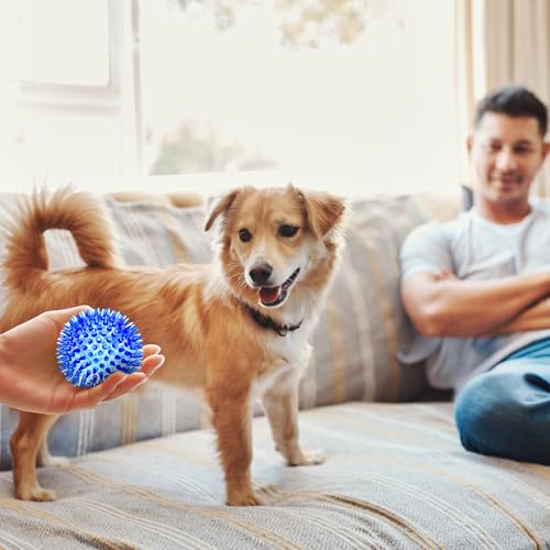 SHARLOVY Quietschbälle für kleine Hunde, 7,6 cm, 4 Farben, stachelige Hundebälle zum Zahnen, langlebiges Kauspielzeug für Welpen, unzerstörbares Spielzeug zum Apportieren und Trainieren, BPA-frei,