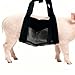 Wvkzuc Pet Weight Bag Portable Lamb Scale Adjustable Small Animal Scale Bag for Cleaning Hair of Small Animals Bathing and Weighing Sling